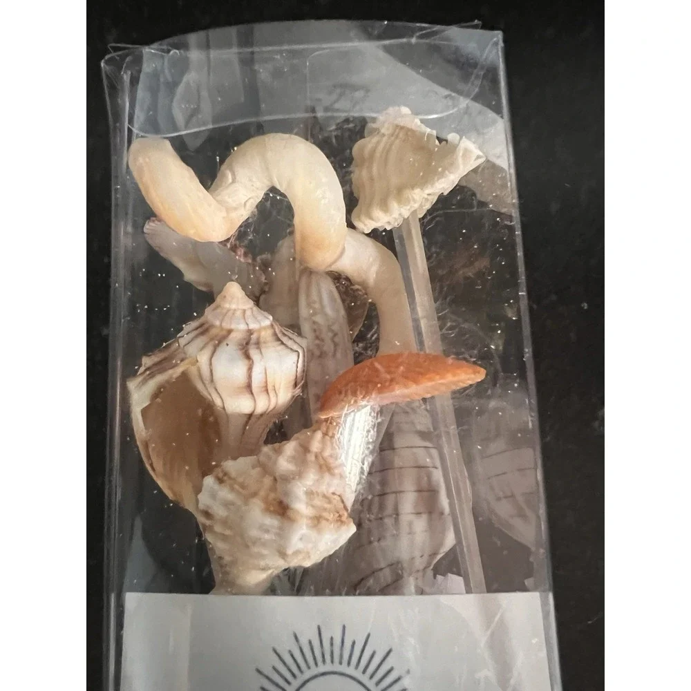CMS Swizzles‎ Handmade Seashell Cocktail Swizzle Sticks – Set with Original Box